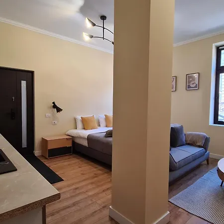 Zeiiss Apartments Braşov Extérieur photo