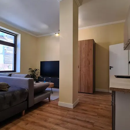 Zeiiss Apartments Braşov Extérieur photo